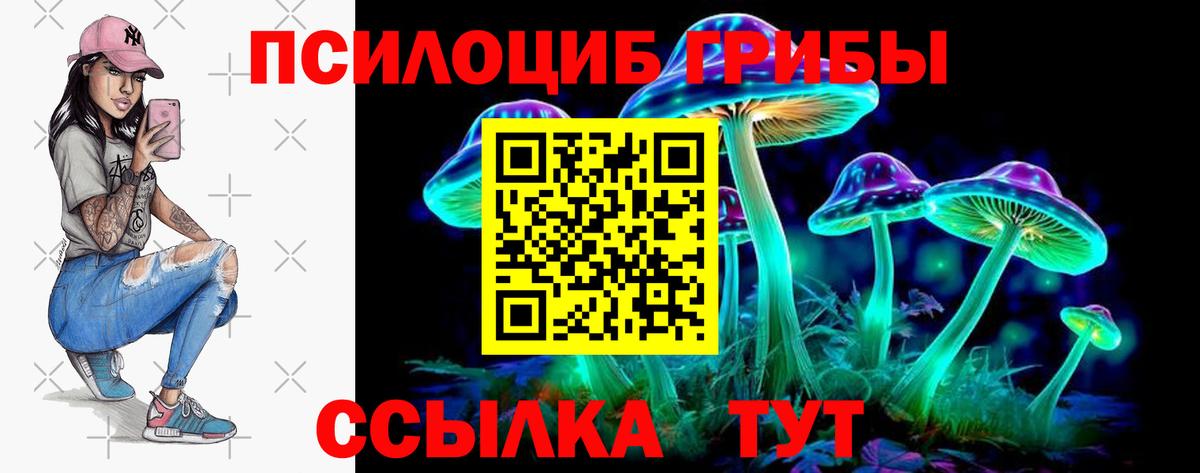 Архангельск  где можно купить   Псилоцибиновые грибы Cubensis  Вход с VPN  Галлюциногенные грибы Magic Shrooms 