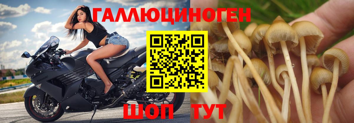 Галлюциногенные грибы MAGIC MUSHROOMS Архангельск